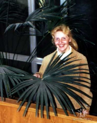 ���� ������